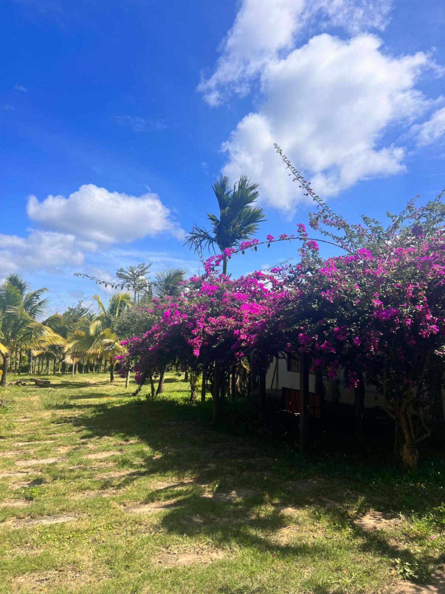 Komleo Farm Hotel Buon Ma Thuot Buitenkant foto