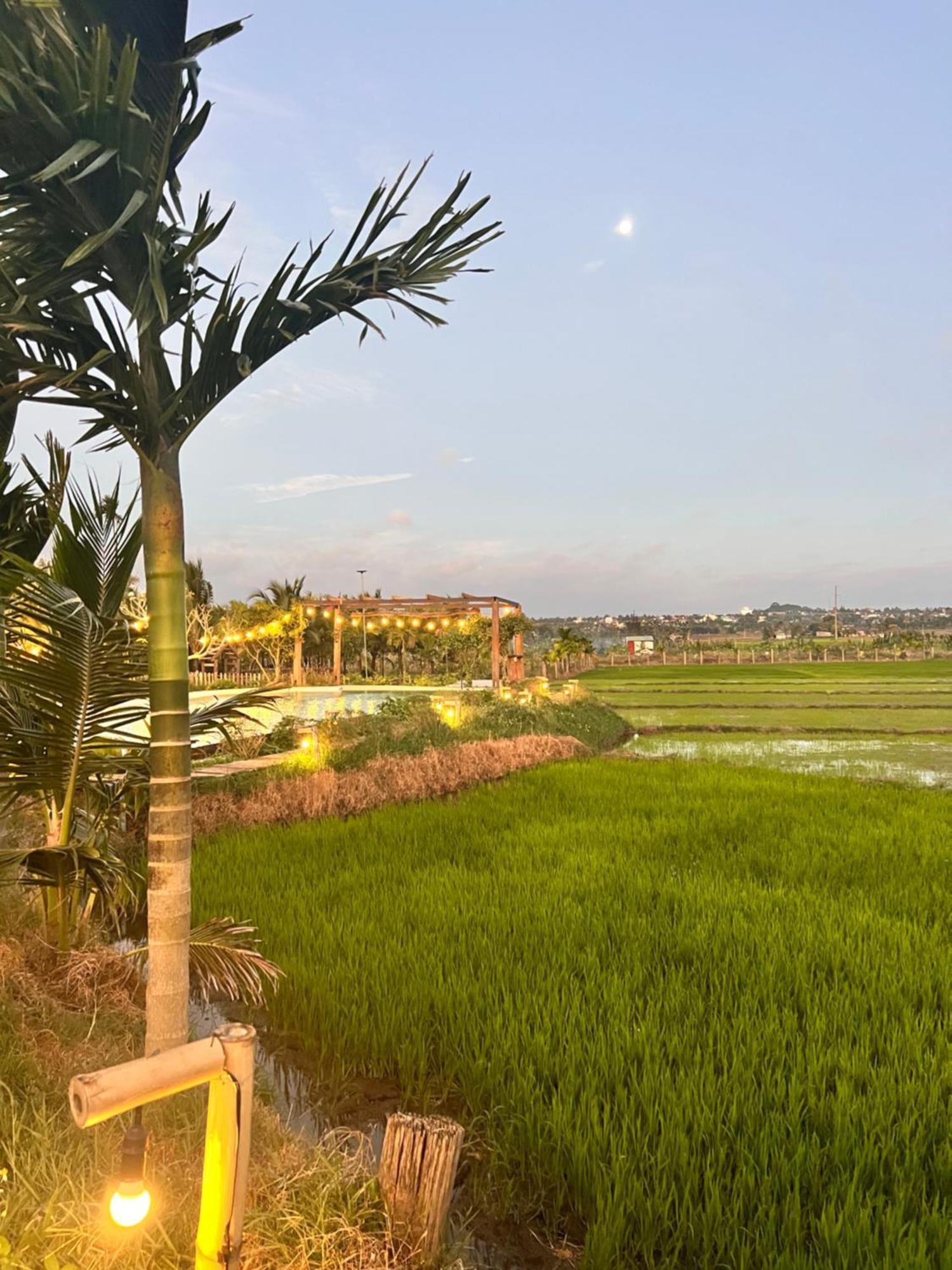 Komleo Farm Hotel Buon Ma Thuot Buitenkant foto