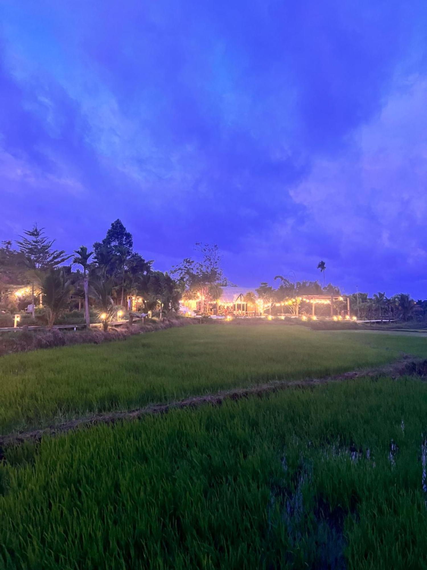 Komleo Farm Hotel Buon Ma Thuot Buitenkant foto