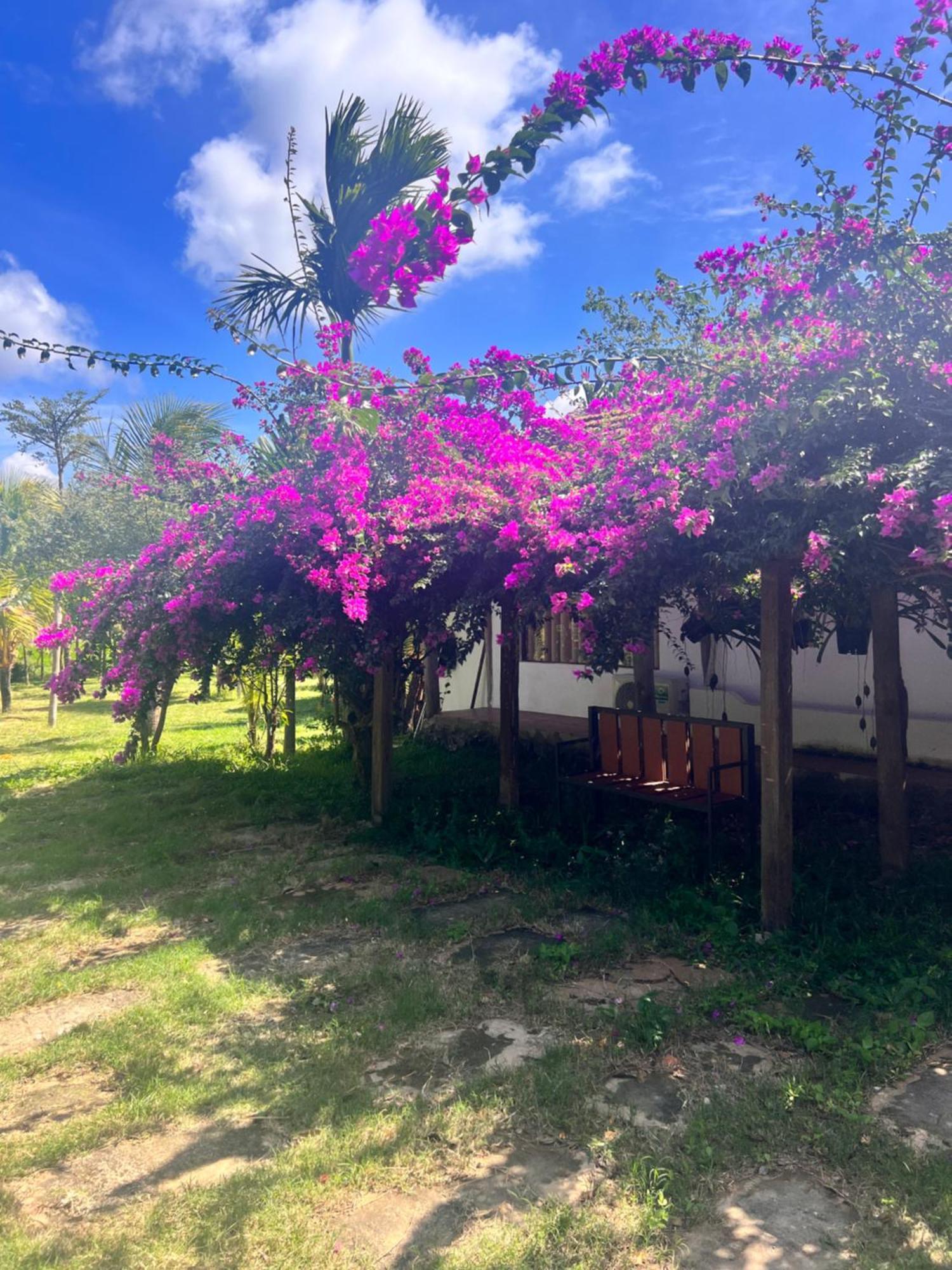 Komleo Farm Hotel Buon Ma Thuot Buitenkant foto